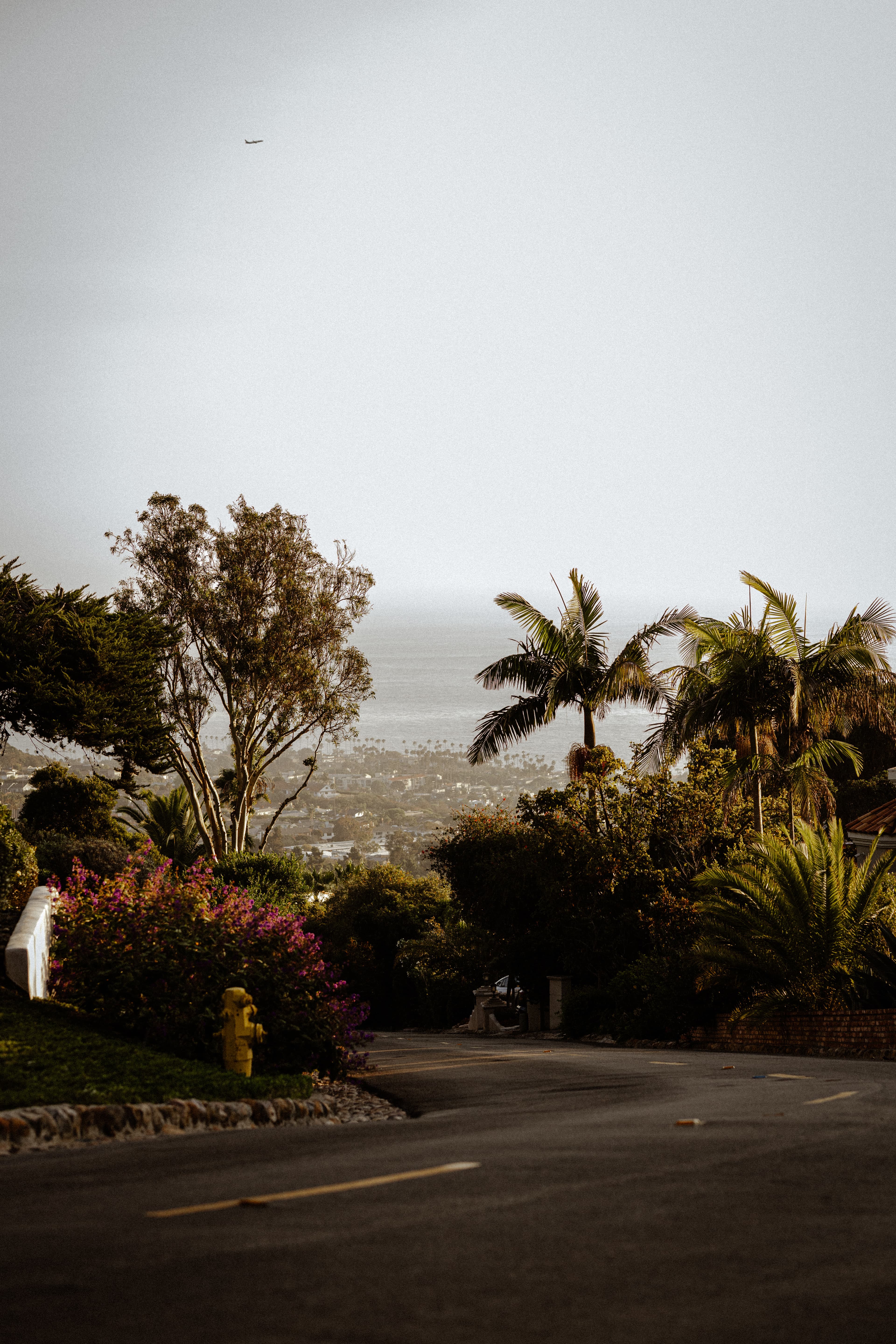 Wedding photograph in La Jolla